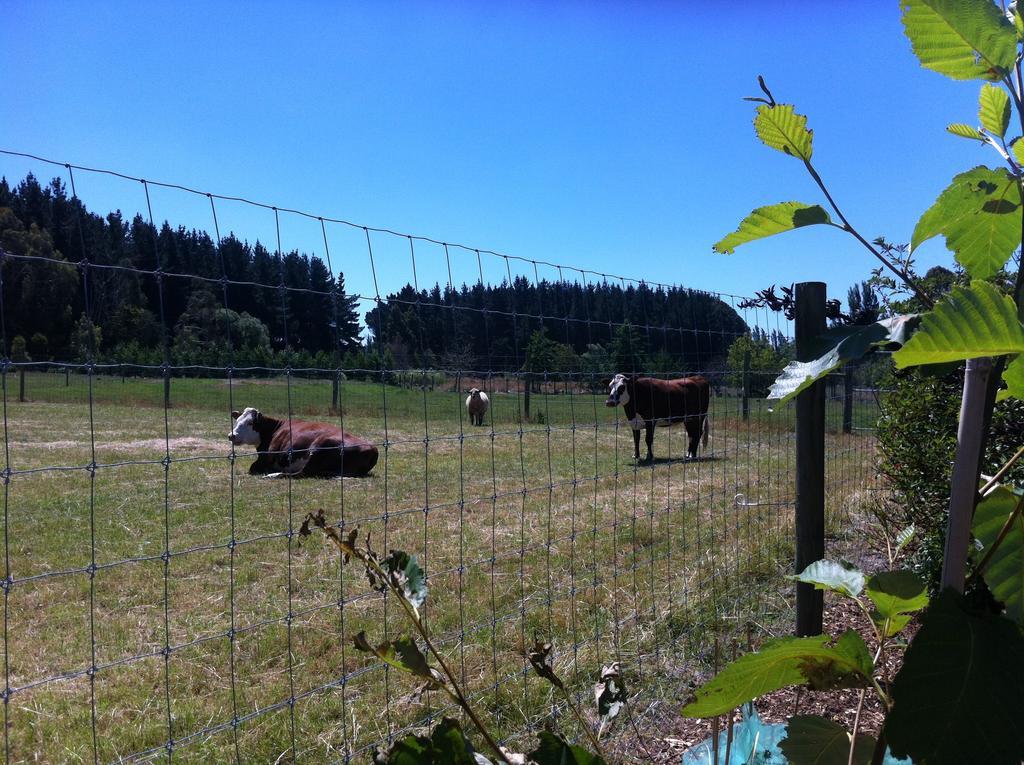 The Meadows Villa Christchurch Luaran gambar