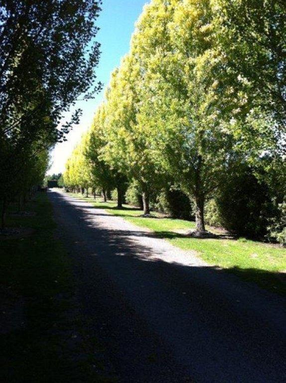 The Meadows Villa Christchurch Luaran gambar