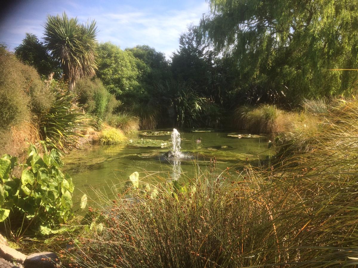 The Meadows Villa Christchurch Luaran gambar